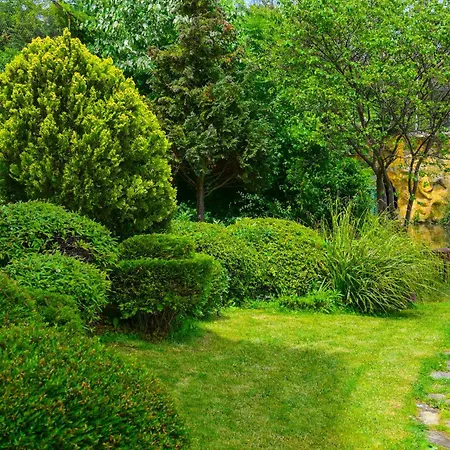 Daire Charming Sunny Apartment+swimming Pool Aziz Konstantin ve Elena