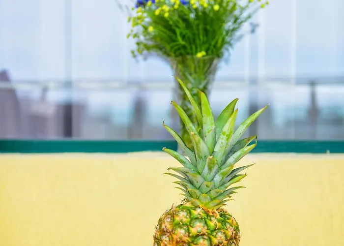 Charming Sunny Apartment+swimming Pool דירה *